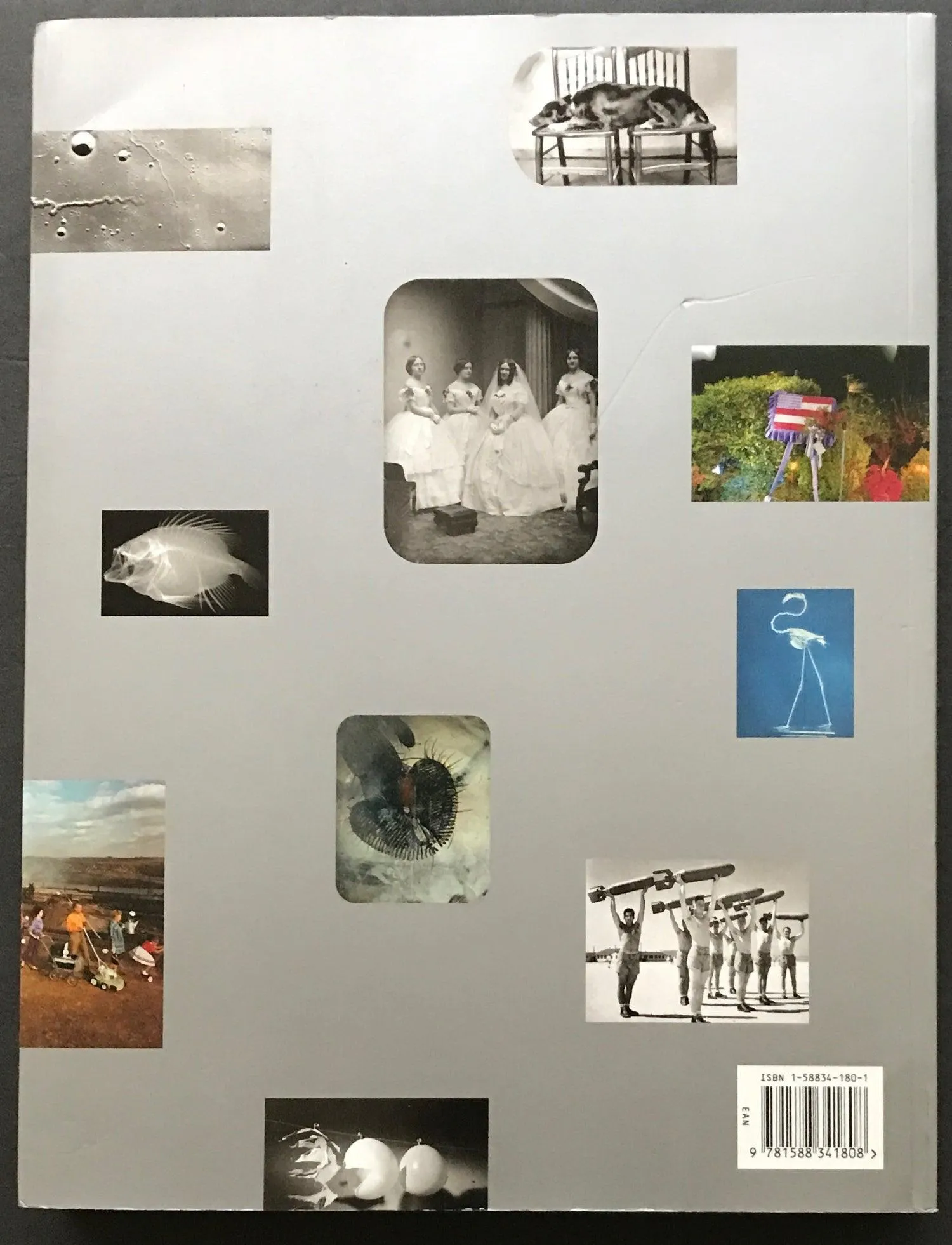 At First Sight : Photography and the Smithsonian (2003)
