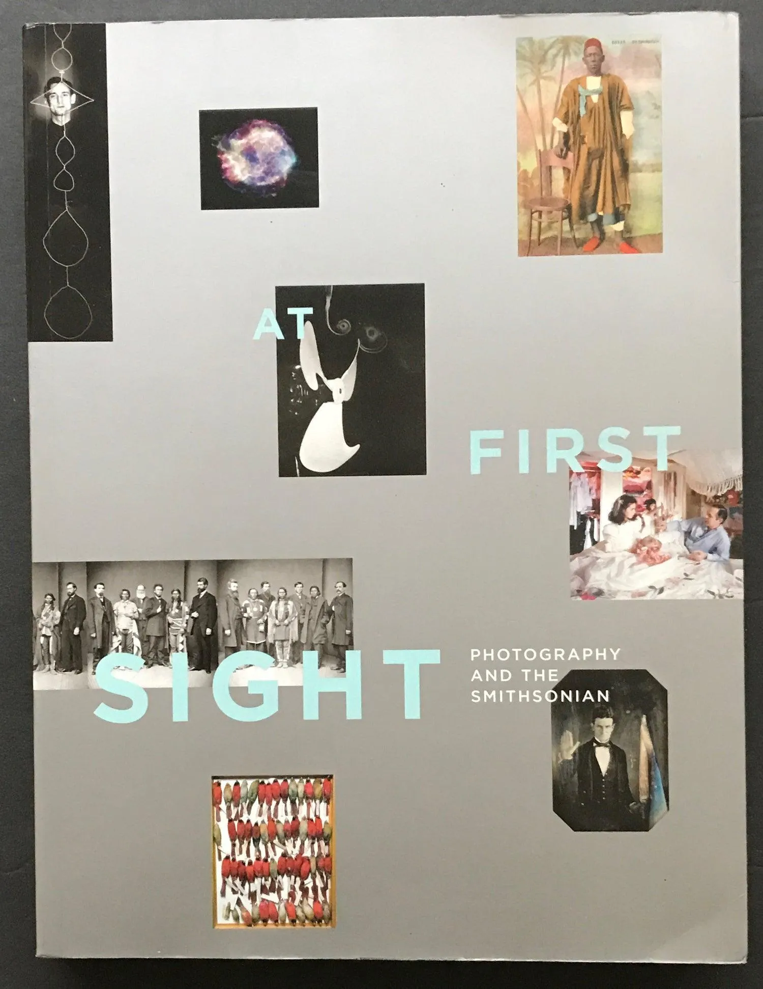 At First Sight : Photography and the Smithsonian (2003)