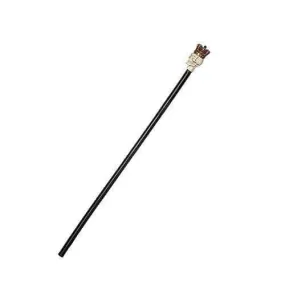 Cane- Skull with Crown