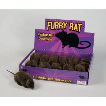 Creepy Furry Black Rat