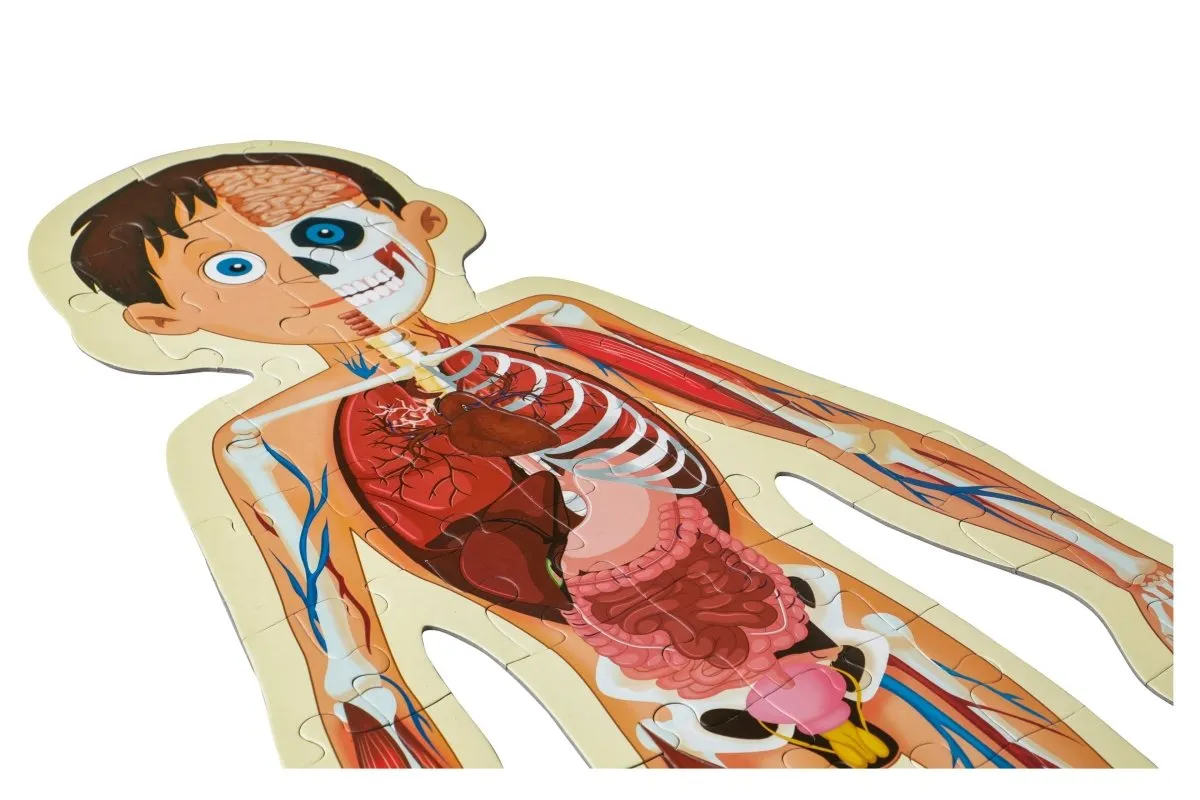 Majestic Book Club HUMAN BODY-PUZZLE