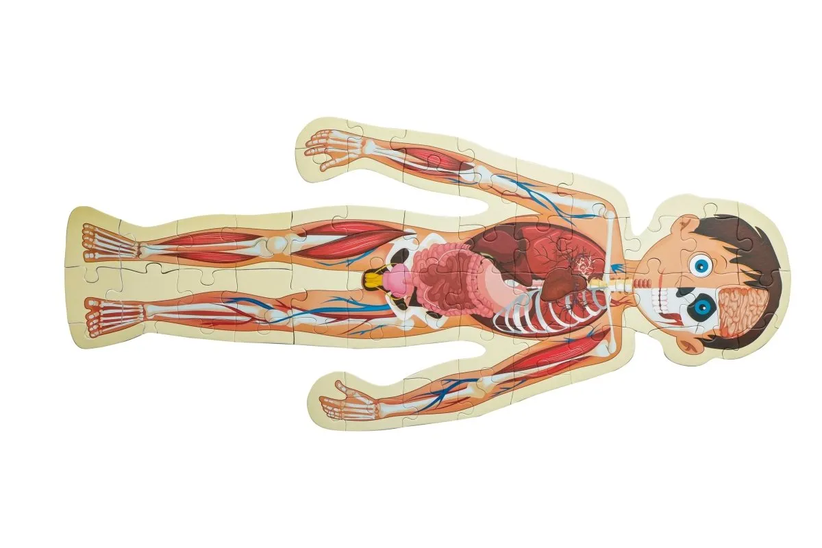 Majestic Book Club HUMAN BODY-PUZZLE