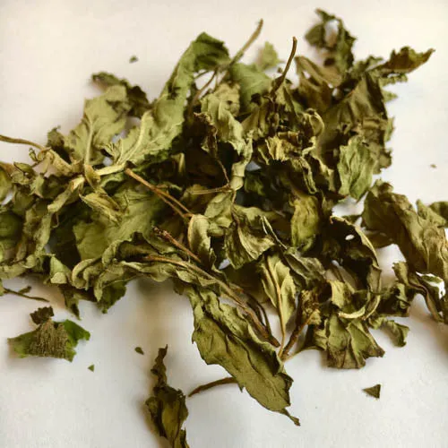 Peppermint Tea