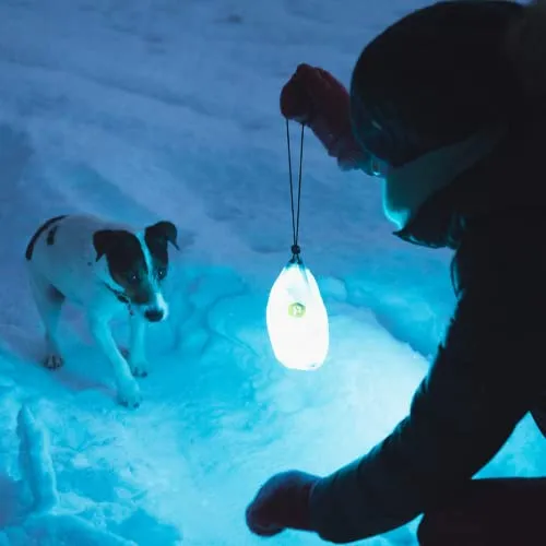 Power Practical Luminoodle Camping lighting with Battery, 5 feet